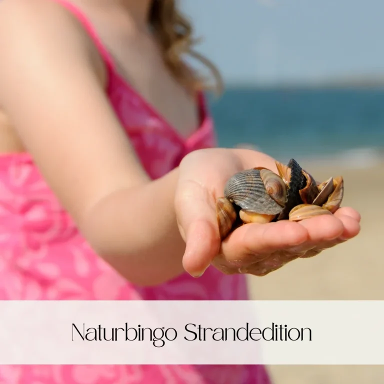 Hand hält eine Auswahl von Muscheln am Strand, im Hintergrund Wasser und Himmel.