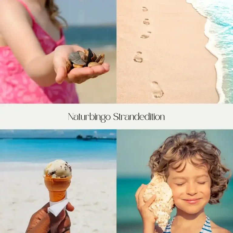 Ein Kind hält einen Krebs, Fußabdrücke am Strand, ein anderes Kind mit einer Muschel.