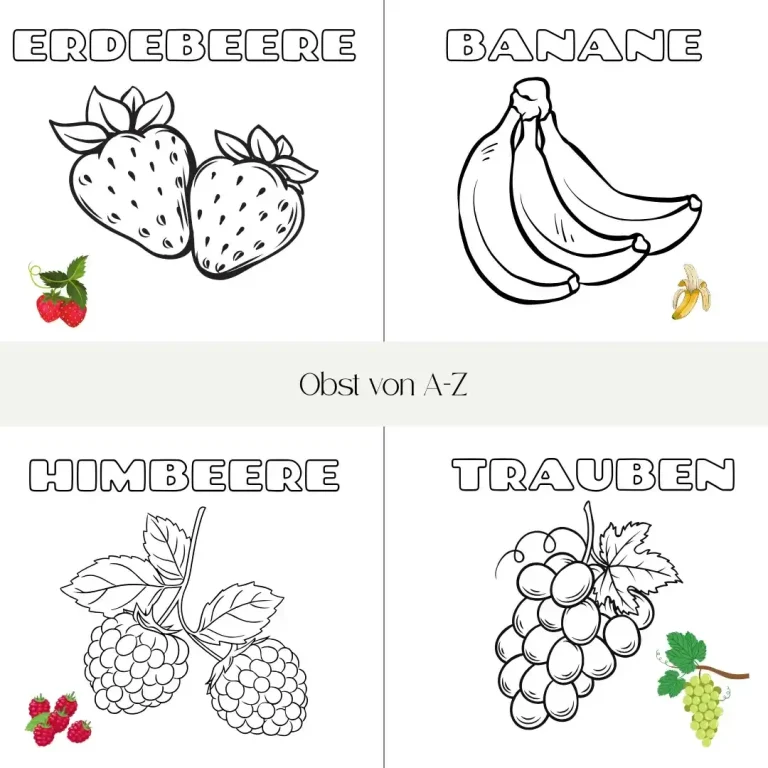 Verschiedene Obstsorten: Erdbeeren, Bananen, Himbeeren, Trauben zum Ausmalen.