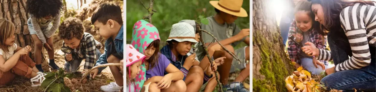 Kinder spielen und lernen in der Natur, fröhliche Gesichter und aktive Gruppeninteraktion.